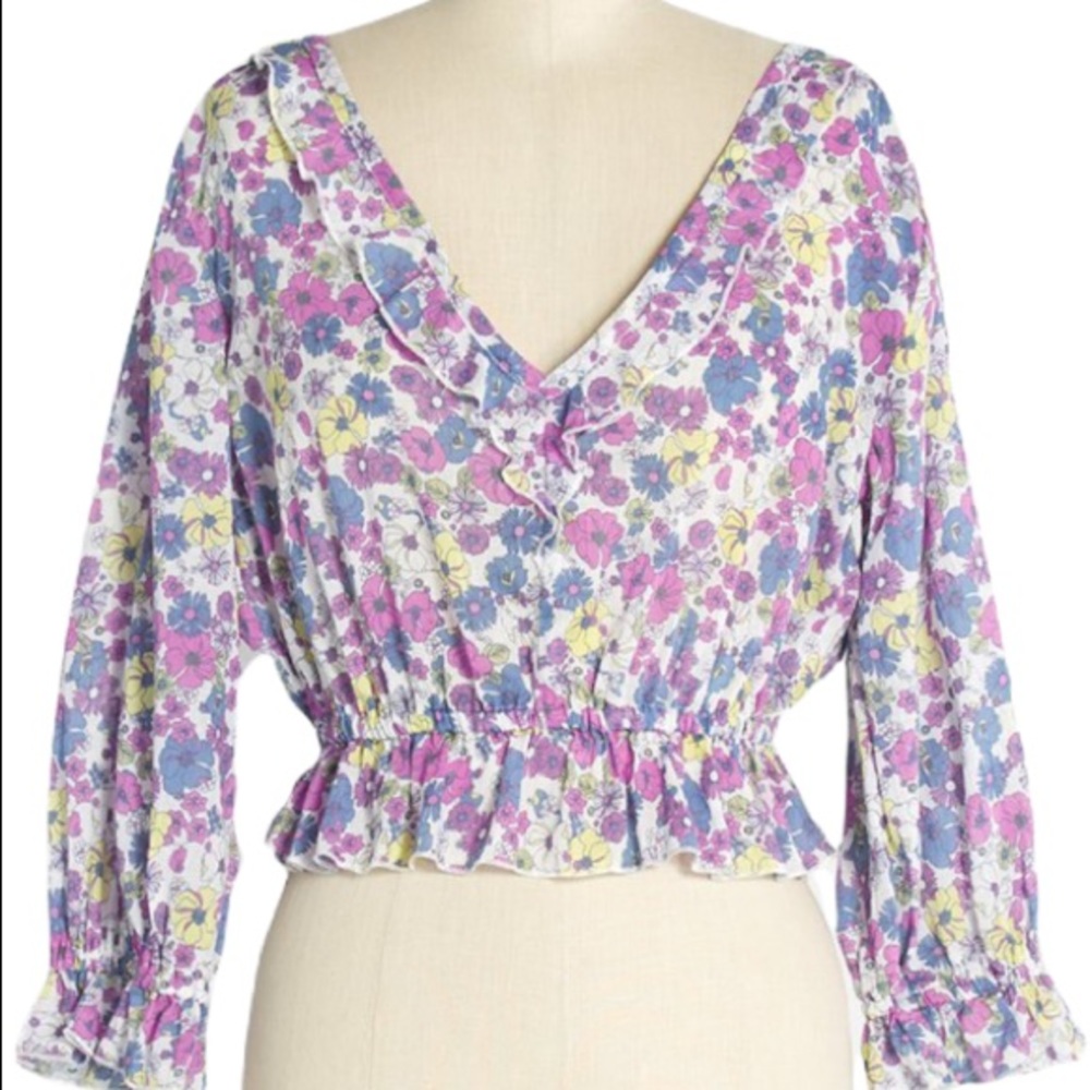 ModCloth cottage core (Drama in doll valley )crop top